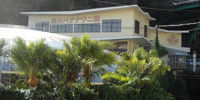 熱川バナナワニ園(สวนจระเข้กล้วยร้อนแรง): สวรรค์แห่งจระเข้และกล้วยทอง