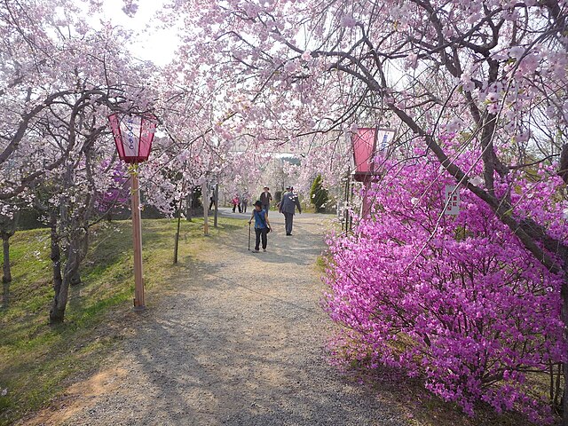 たけべの森公園(ป่าไผ่แห่งความสงบ): เสน่ห์แห่งธรรมชาติในอ้อมกอดของไผ่