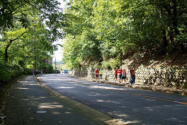 京都市道183号衣笠宇多野線(ถนนสาย 183 เมืองเกียวโต): เส้นทางแห่งความสงบในหุบเขาแห่งวัฒนธรรม