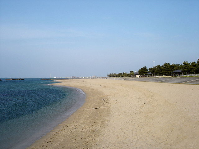 "คลื่นแห่งความสุข ณ ชายหาดกล่อง"