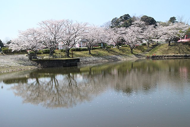 つま恋リゾート 彩の郷(รีสอร์ทซึมะโกอิ แห่งสีสัน): สวรรค์แห่งความงามและความรัก