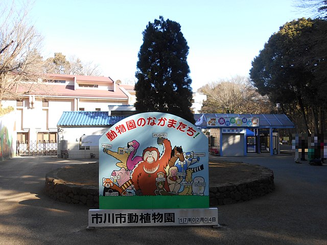 市川市動植物園(สวนสัตว์และพฤกษศาสตร์อิจิคาวะ): "สวนแห่งชีวิตและความงดงาม"