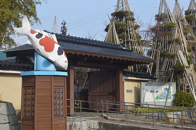 小千谷市錦鯉の里(เมืองโคจิยะแห่งปลาคาร์พสีสัน): สายน้ำแห่งความงามและสีสัน