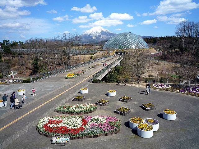 とっとり花回廊(ทางเดินดอกไม้แห่งโทตโตริ): สวนสวรรค์แห่งสีสันและกลิ่นหอม