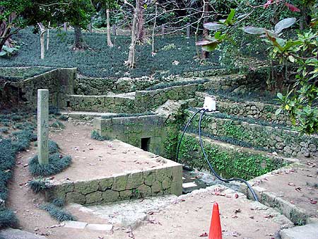 森の川(แม่น้ำในป่า): เสียงกระซิบของธรรมชาติ