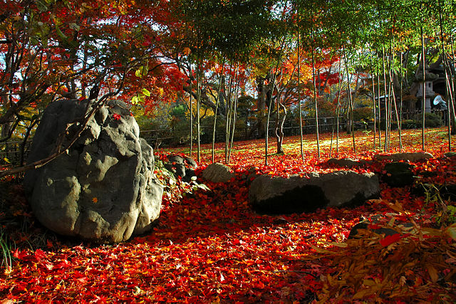 もみじ園(สวนใบเมเปิ้ล): สวนแห่งสีสันในฤดูใบไม้ร่วง