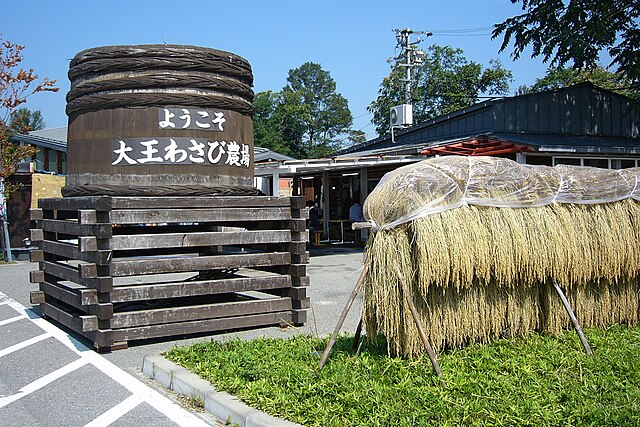 大王わさび農場(ฟาร์มวาซาบิราชา): สายน้ำแห่งความสดชื่น