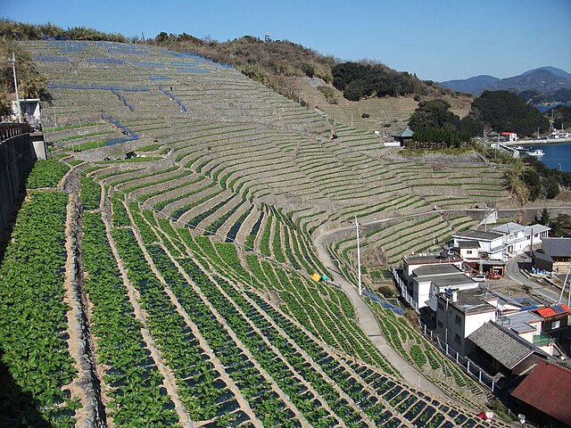 南いよ風景かいどう(ทิวทัศน์ใต้แห่งความงาม): เสน่ห์แห่งลมใต้