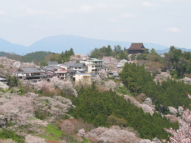 吉野山(ภูเขายาชิโนะ): "ดอกซากุระบานสะพรั่งบนยอดเขา"