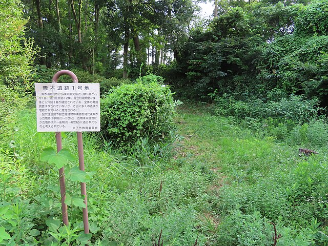 青木遺跡 (米子市)(ซากปรักหักพังอาโอกิ): เสน่ห์แห่งอดีตในเงาแห่งความทรงจำ